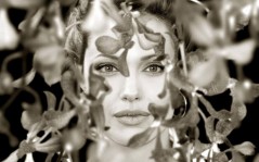 Angelina Jolie   / 1280x800