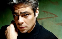    / Benicio Del Toro / 1600x1200