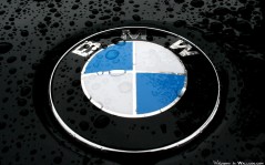 BMW,  -  BMW / 1680x1050