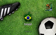 Бразилия на Чемпионате мира в Африке / 1920x1200