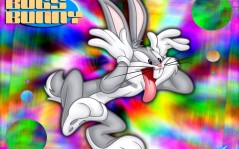 Bugs Bunny / 1024x768