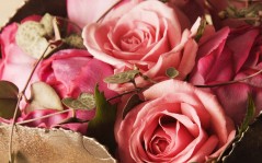 Букетик розовых роз / 1680x1050