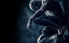         - Spider man 3 -  / 1024x768