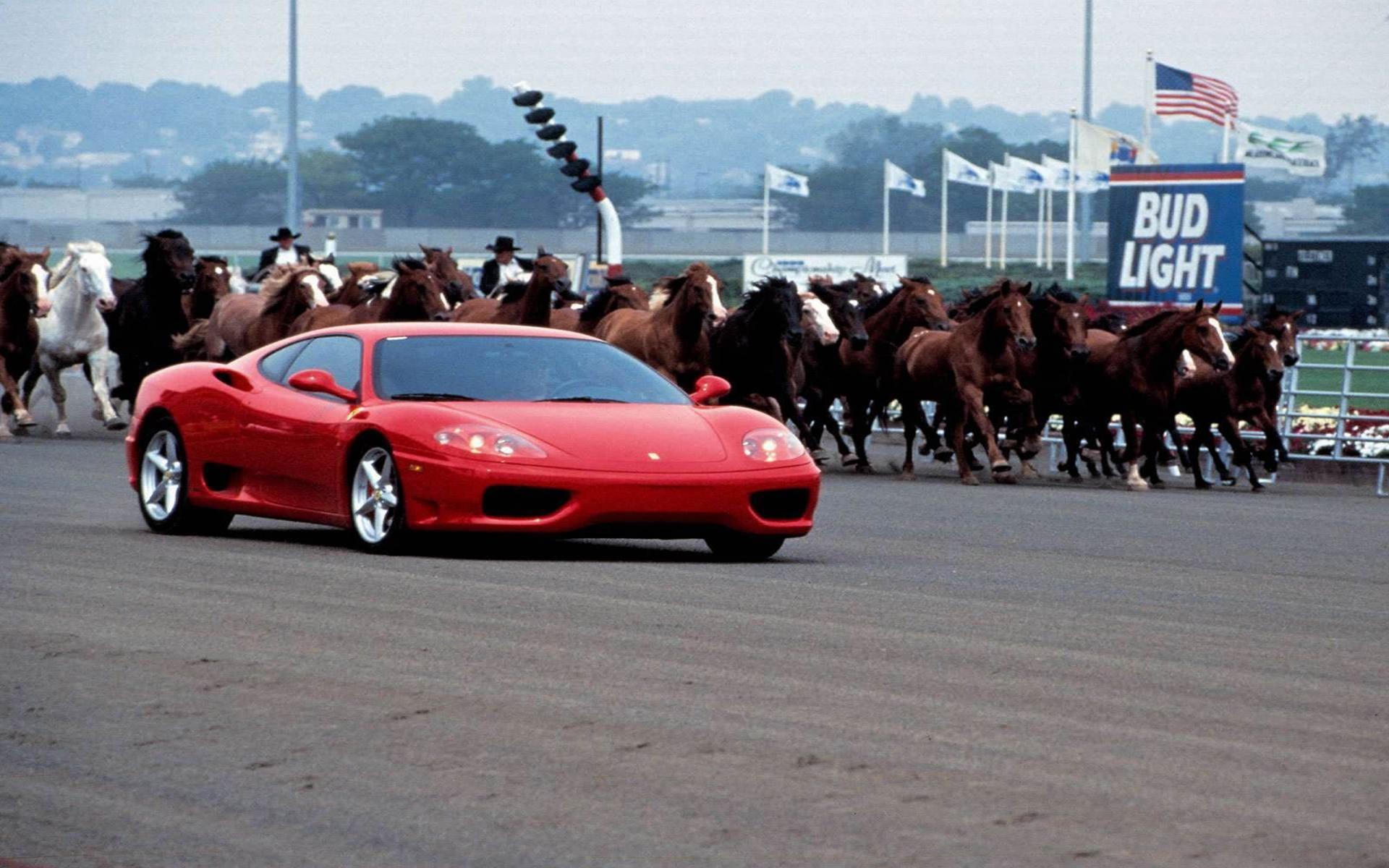 Обои Ferrari против лошадей 1920x1200