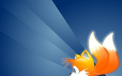 FireFox -       / 1600x1200