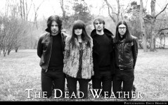  The dead weather / 1920x1200