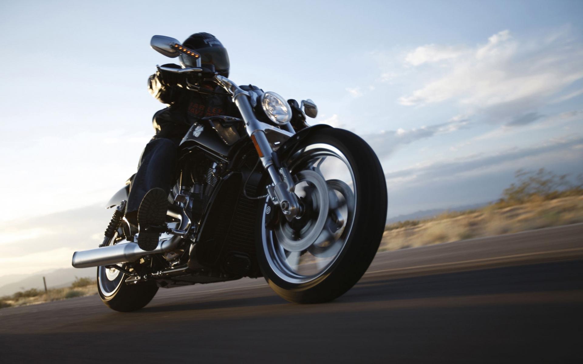 Обои Harley-Davidson VRSCF V-Rod Muscle 1920x1200