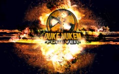 Игровые Duke Nukem Forever - / 1280x1024
