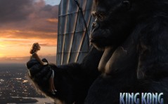   (King Kong) / 1024x768