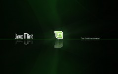  Linux Mint    / 1600x1200