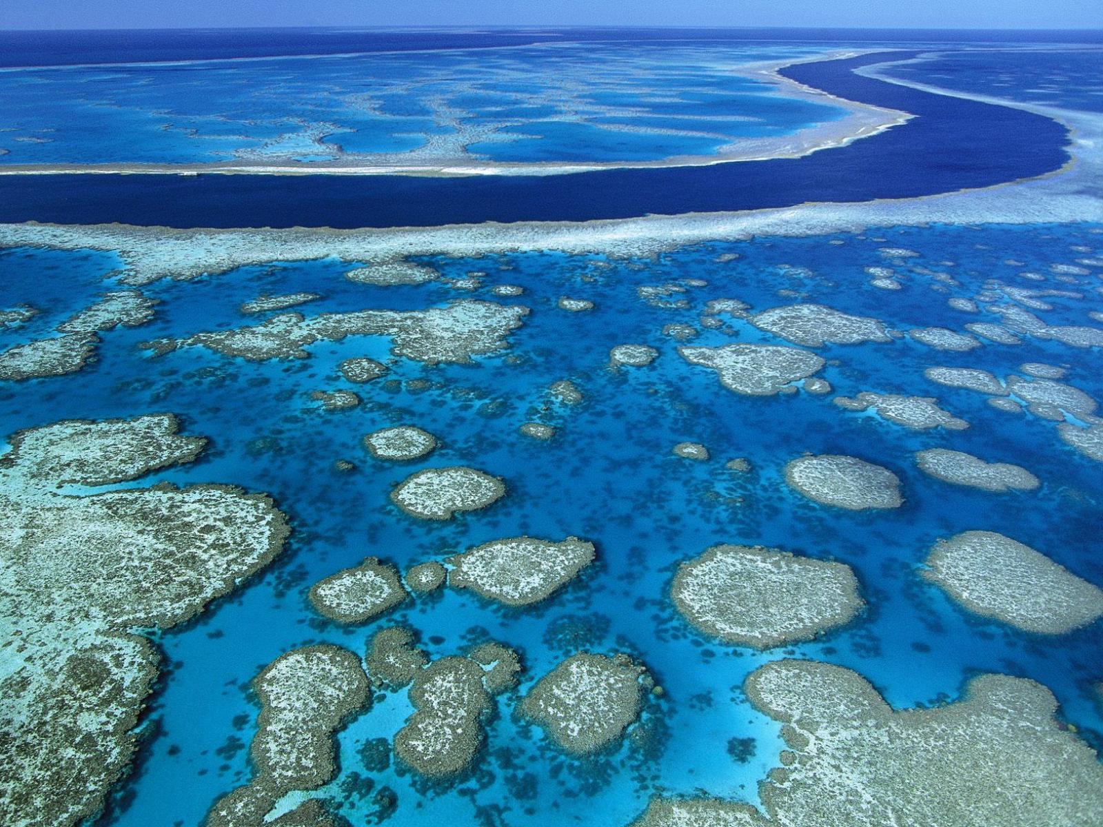 Обои Кораловые рифы 1600x1200