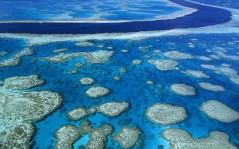 Кораловые рифы / 1600x1200