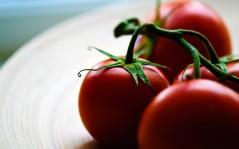 Красные помидоры на тарелке / 2560x1600