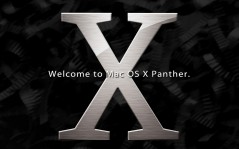 MAC OS X Panther / 1600x1200