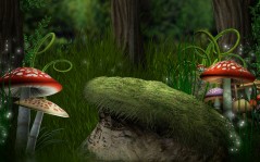 Magic forest, mushroom / 1920x1200