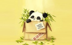 Маленькая панда / 1680x1050
