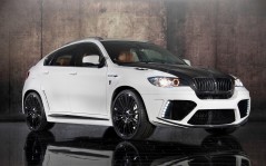 Mansory BMW X6 2011 / 1920x1200