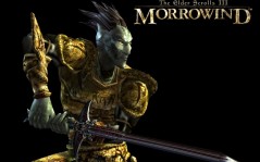 Morrowind / 1024x768