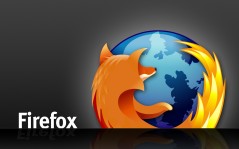    Firefox, Firefox / 1600x1200