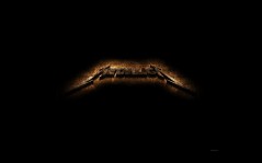  Metallica / 1920x1200