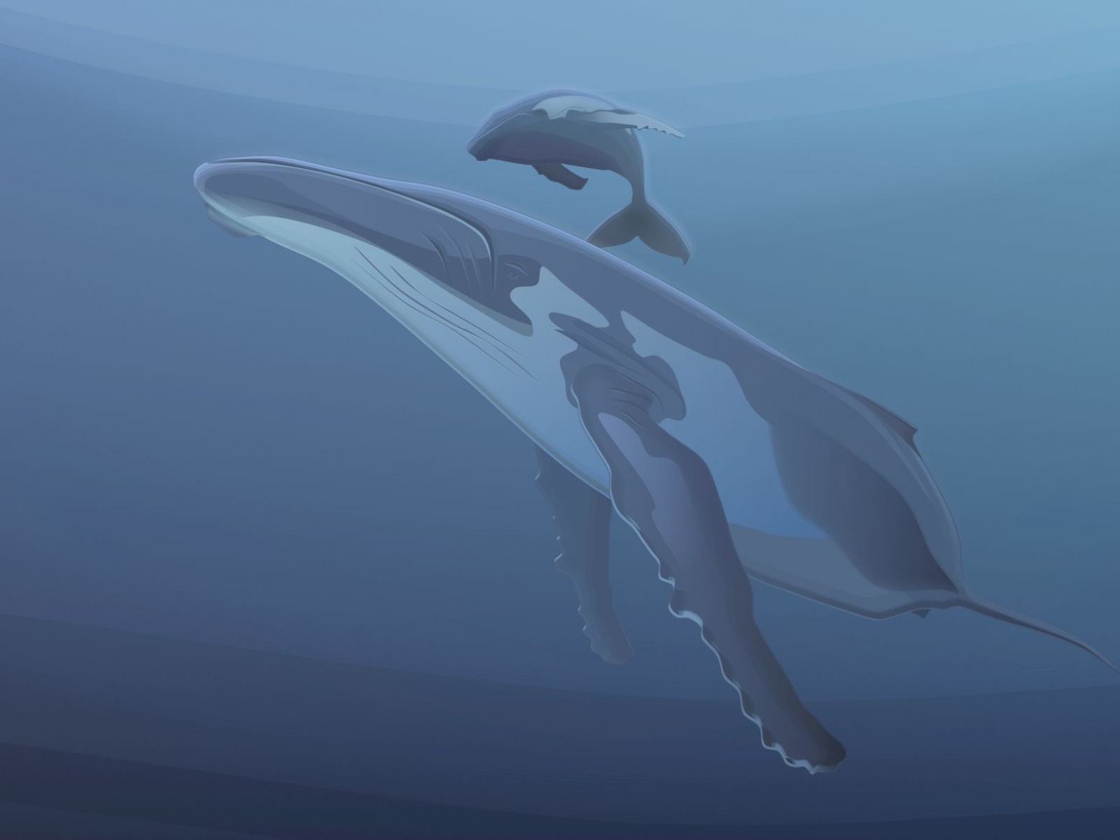Обои Нарисованный кит 1600x1200