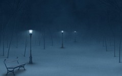 Ночь в зимнем парке / 1920x1080