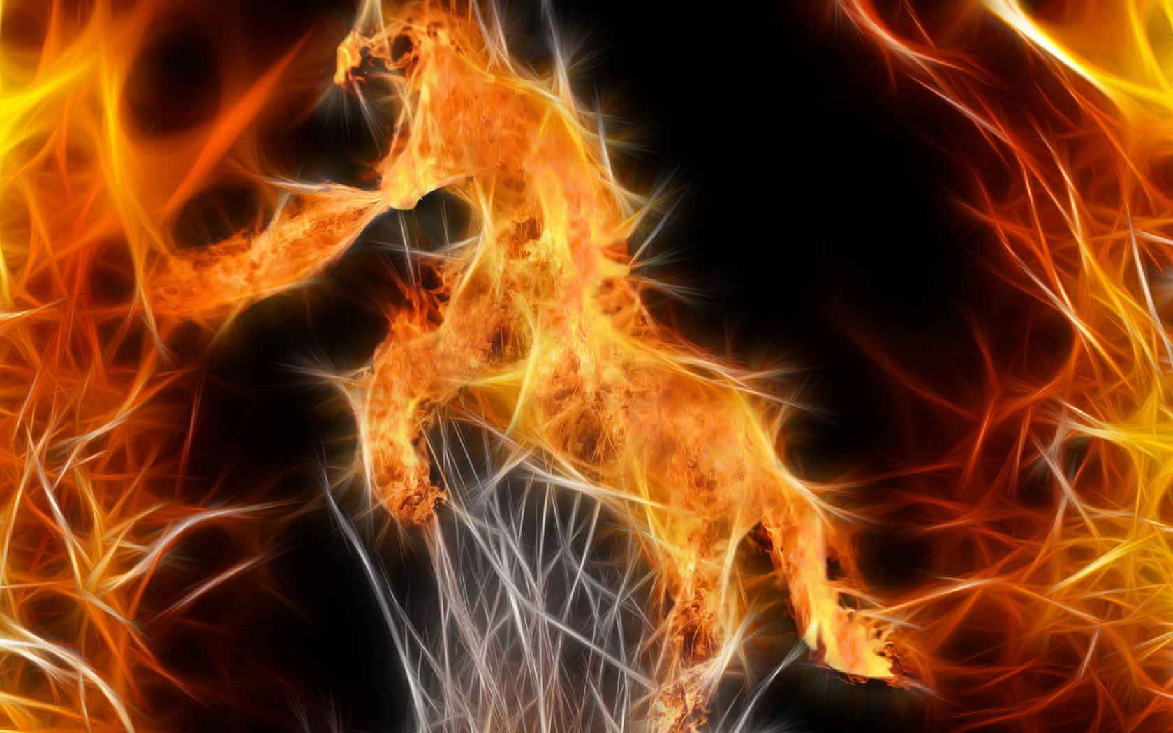 Обои Огненные - пламенный конь, огонь 1680x1050