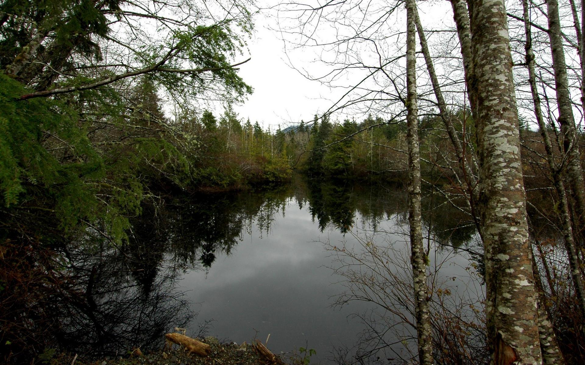 Обои Озеро в лесной чаще - скачать 1920x1200