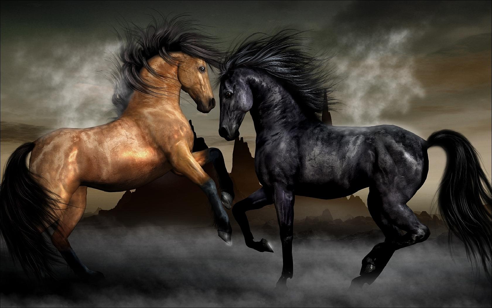 Обои Пара лошадей 1680x1050