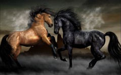 Пара лошадей / 1680x1050