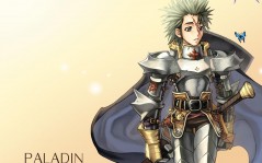  , Paladin / 1024x768