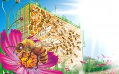 Пчелиный рай / 1600x1200