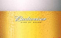 Пиво Budweiser - скачать напитков / 1440x900