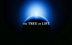   The Tree of Life / 1920x1080