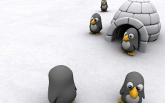 Прикольные пингвины - 3D на рабочий стол / 1600x1200