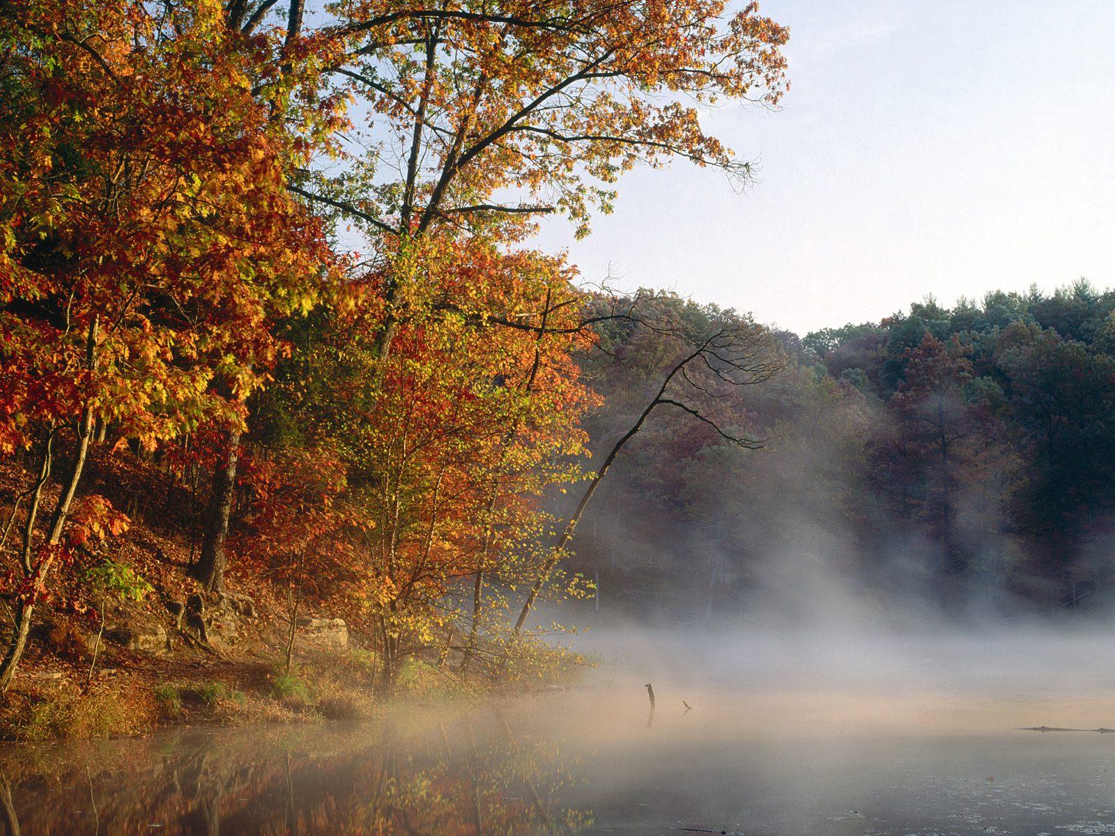 Обои Природные для рабочего стола - тема осень, демка над озером и лес 1600x1200