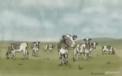 Рисованные коровы / 2560x1600