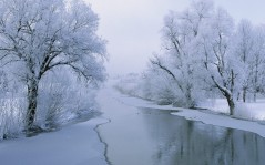 River in winter / 1920x1200
