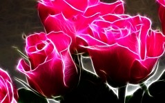 Розы, нарисованные светом / 1280x1024