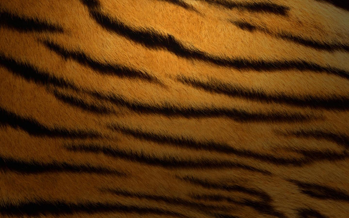 Обои Шерсть тигра 1440x900