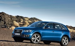   Audi Q5 / 1600x1200