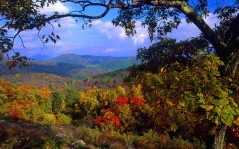 Skyline Drive, Virginia / 1600x1200