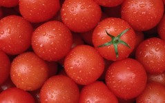 Сочные помидоры / 1920x1200