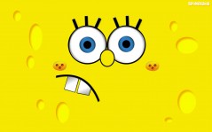 Sponge Bob / 2560x1600