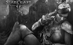 Starcraft Wings Liberty / 2560x1600