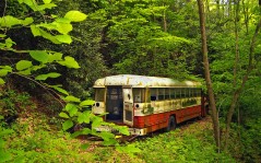 Старый автобус в лесу / 1920x1200