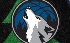Timberwolves / 1600x1200