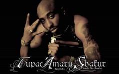    / 2pac / 1024x768