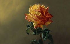 Увядшая роза / 1600x1200