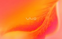 Vaio Orange / 1920x1200